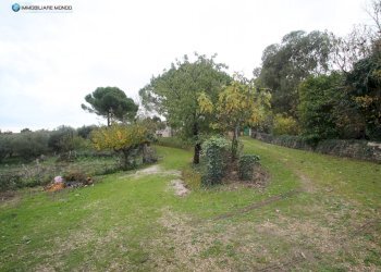 Foto 75 - Rustico Contrada, San Martino in Pensilis - foto 75