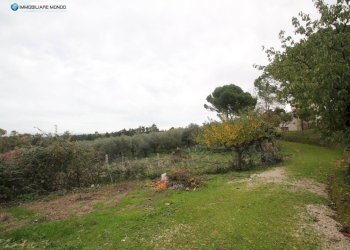 Foto 76 - Rustico Contrada, San Martino in Pensilis - foto 76