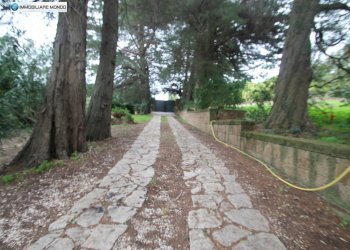 Foto 80 - Rustico Contrada, San Martino in Pensilis - foto 80