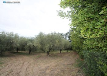 Foto 82 - Rustico Contrada, San Martino in Pensilis - foto 82