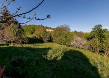 Terreno - Villa Regione Tetti Gribaudo, Sciolze - foto 14