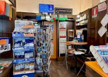 Interno non residenziale - Bar - Tabacchi - Ricevitoria via Carlo Fecia di Cossato, 11, Biella - foto 10