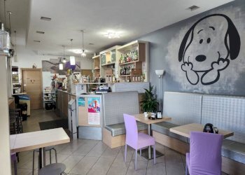 Interno non residenziale - Bar Tavola Calda - Fredda Mondovì - foto 4