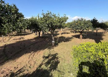 8.jpeg - Villa Via del Giglio, Ispica - photo 11