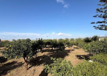 9.jpeg - Villa Via del Giglio, Ispica - photo 12