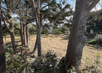 13.jpeg - Villa Via del Giglio, Ispica - photo 14