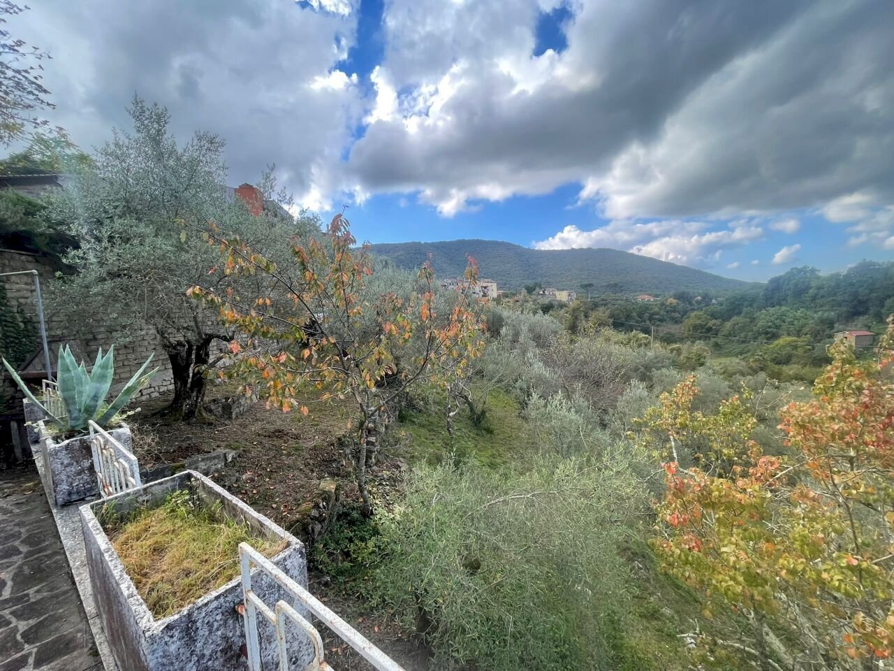 Vista - Villa Via Tivoli, Poli - foto 3