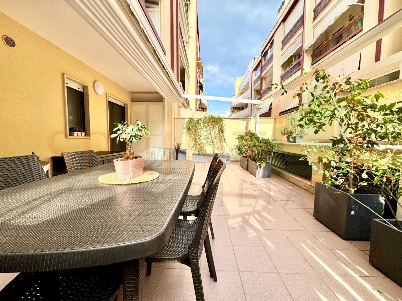 IMG_3066.jpg - Quadrilocale Via Cosimo Turi 15/F, Monopoli - foto 3