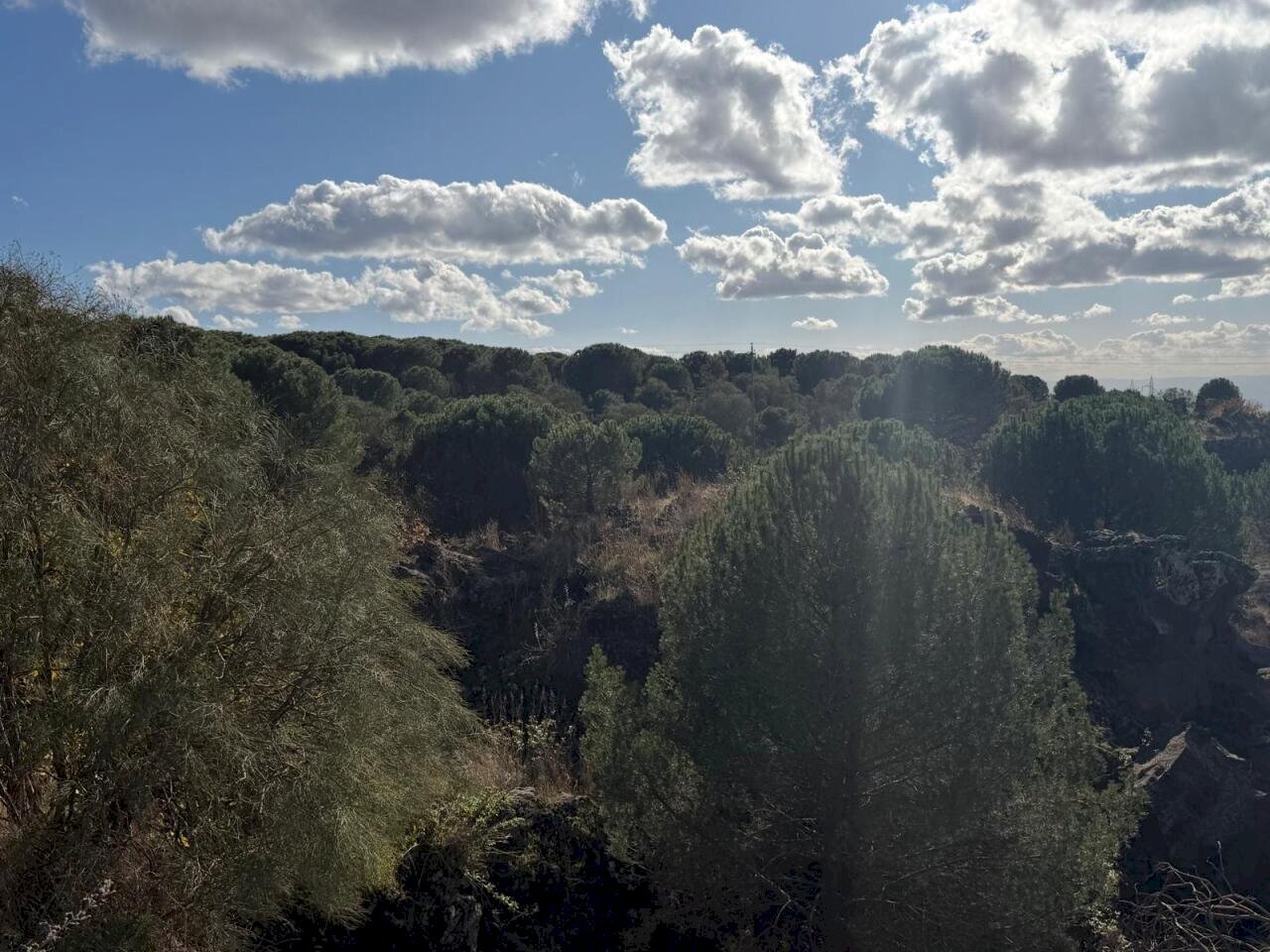 WhatsApp Image 2025-12-03 at 19.08.55 (13).jpeg - Terreno agricolo Nicolosi - foto 1