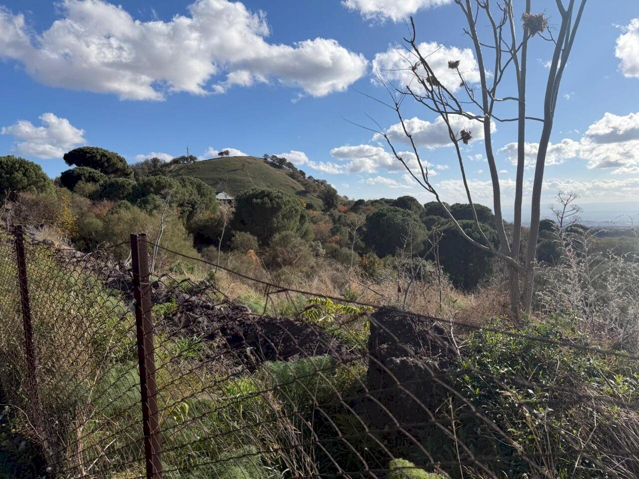 WhatsApp Image 2025-12-03 at 19.08.55 (2).jpeg - Terreno agricolo Nicolosi - foto 3