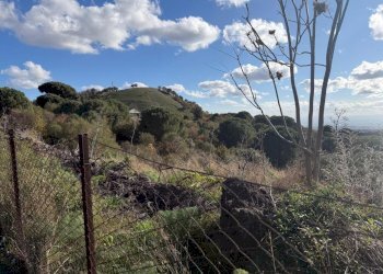 WhatsApp Image 2025-12-03 at 19.08.55 (2).jpeg - Terreno agricolo Nicolosi - foto 3