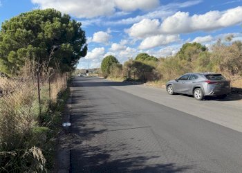 WhatsApp Image 2025-12-03 at 19.08.55 (3).jpeg - Terreno agricolo Nicolosi - foto 4