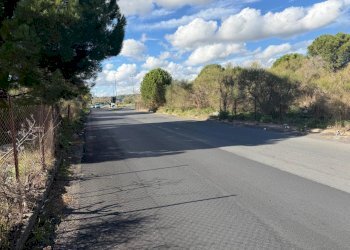 WhatsApp Image 2025-12-03 at 19.08.55 (4).jpeg - Terreno agricolo Nicolosi - foto 5