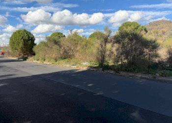 WhatsApp Image 2025-12-03 at 19.08.55 (5).jpeg - Terreno agricolo Nicolosi - foto 6