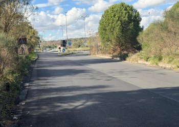 WhatsApp Image 2025-12-03 at 19.08.55 (6).jpeg - Terreno agricolo Nicolosi - foto 7