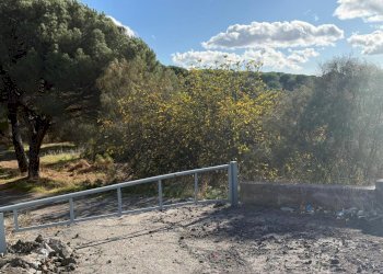 WhatsApp Image 2025-12-03 at 19.08.55 (12).jpeg - Terreno agricolo Nicolosi - foto 12