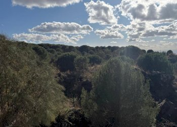 WhatsApp Image 2025-12-03 at 19.08.55 (13).jpeg - Terreno agricolo Nicolosi - foto 13