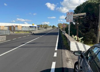 WhatsApp Image 2025-12-03 at 19.08.55 (14).jpeg - Terreno agricolo Nicolosi - foto 14