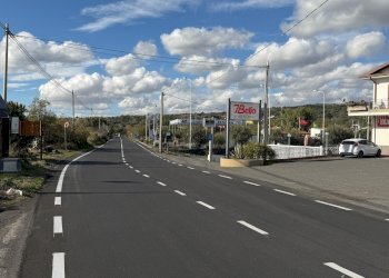 WhatsApp Image 2025-12-03 at 19.08.55 (16).jpeg - Terreno agricolo Nicolosi - foto 15