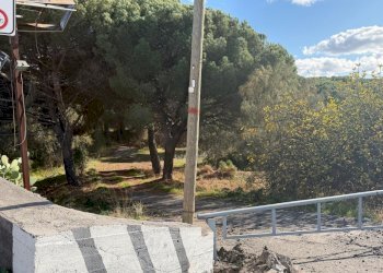 WhatsApp Image 2025-12-03 at 19.08.55 (17).jpeg - Terreno agricolo Nicolosi - foto 16