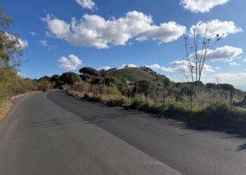 WhatsApp Image 2025-12-03 at 19.08.55.jpeg - Terreno agricolo Nicolosi - foto 18