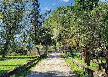 In vendita Spazioso Casale del Grillo a Marsciano - Casa indipendente Marsciano - foto 3