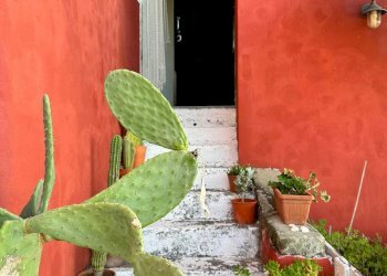 VR1MMJ~Y.JPG - Terratetto - Terracielo Via Castellazzo 33, La Spezia - foto 13