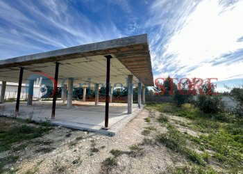 WhatsApp Image 2024-11-08 at 10.08.41_risultato.jp - Villa Via Rodi Garganico 2, Lecce - photo 20