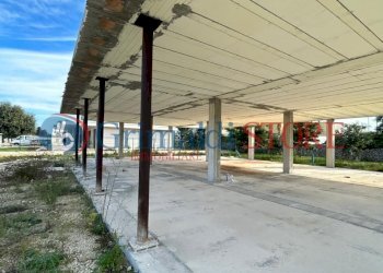 WhatsApp Image 2024-11-08 at 10.08.42 (1)_risultat - Villa Via Rodi Garganico 2, Lecce - photo 21