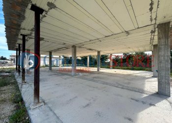 WhatsApp Image 2024-11-08 at 10.08.42_risultato.jp - Villa Via Rodi Garganico 2, Lecce - photo 25