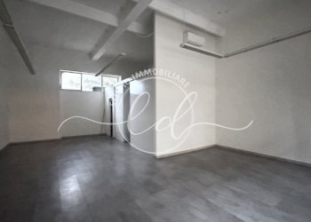 IMG_1031.JPG - Capannone Pietrasanta - foto 1