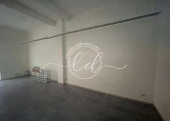 PHOTO-2025-11-07-17-16-26 2.jpg - Capannone Pietrasanta - foto 3