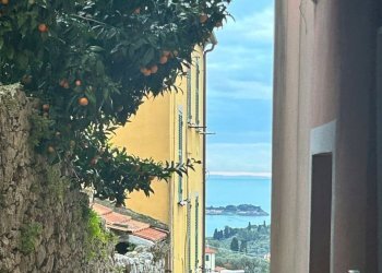 189f33cc-b271-4dd7-ad8d-73c3bdeeafe3.jpg - Terratetto - Terracielo Arcola - foto 25