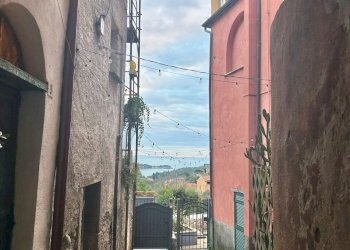 96a1287c-ea93-489f-9a14-43d7577e5b45.jpg - Terratetto - Terracielo Arcola - foto 26