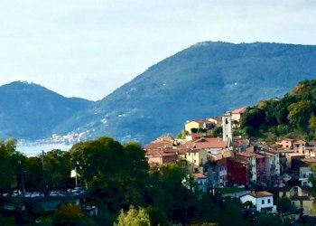 19ad7dae-ad18-42c0-8d53-b85b6dfb6758.jpg - Terratetto - Terracielo Arcola - foto 28