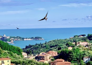 f2cd9a7d-0210-40ce-a48f-e5604b3ed600.jpg - Terratetto - Terracielo Arcola - foto 29