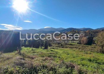 Rustic Capannori - photo 4