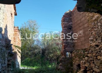 Rustic Capannori - photo 8