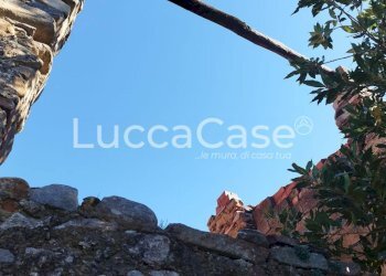 Rustic Capannori - photo 9