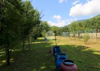 Terreno agricolo con casetta Via Avigliana, La Cassa - foto 2