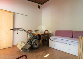 Terreno agricolo con casetta Via Avigliana, La Cassa - foto 5