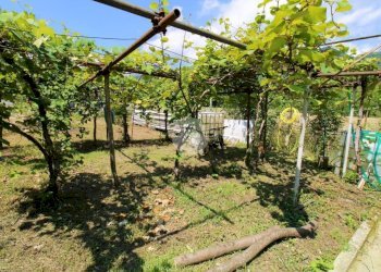 Terreno agricolo con casetta Via Avigliana, La Cassa - foto 15