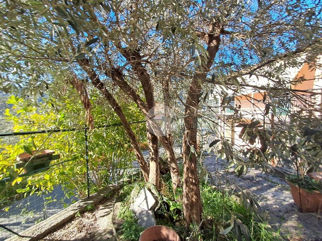 Trilocale Via Campo, Uscio - foto 1