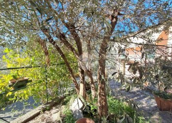 Trilocale Via Campo, Uscio - foto 1