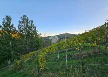 Independent house Regione Case Sparse, Castel Rocchero - photo 29