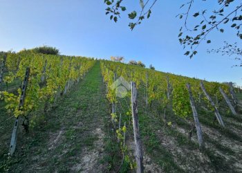 Independent house Regione Case Sparse, Castel Rocchero - photo 30