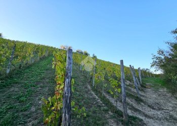 Independent house Regione Case Sparse, Castel Rocchero - photo 31