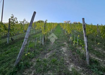 Independent house Regione Case Sparse, Castel Rocchero - photo 32