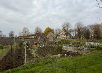 Quadrilocale Via Chio', Crescentino - foto 44