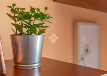 Quadrilocale Via Chio', Crescentino - foto 13